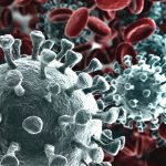 coronavirus virus