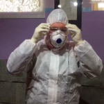 coronavirus covid 19