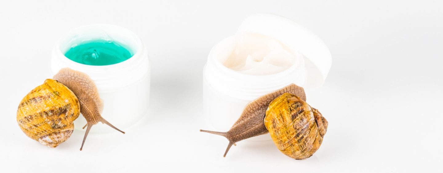 Cosmetici biologici: quali sono le loro caratteristiche e perché è consigliabile usarli