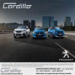 banner cardillo peugeot