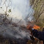 forino incendio