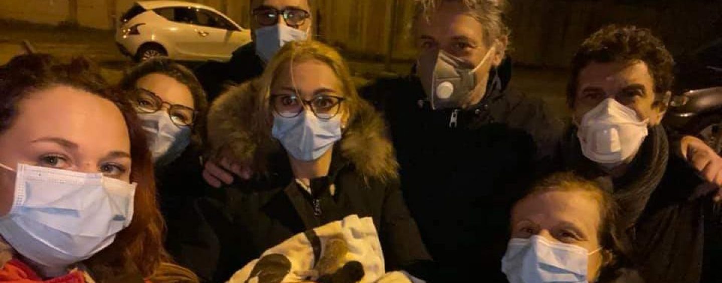 Ospedale Moscati, gli eroi del reparto di Rianimazione salvano la vita anche a due gattini