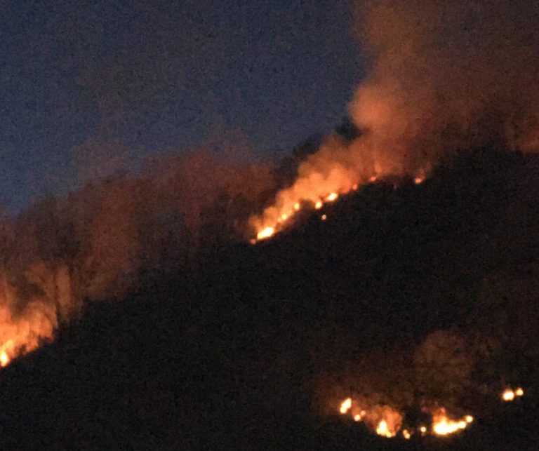 Nuovo incendio in Irpinia, fiamme a Forino
