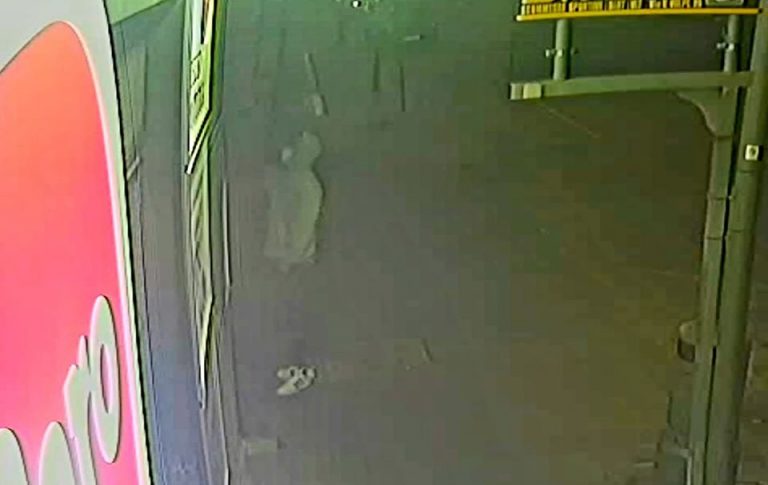 Avellino, tentato furto in polleria. Risposta social dei proprietari