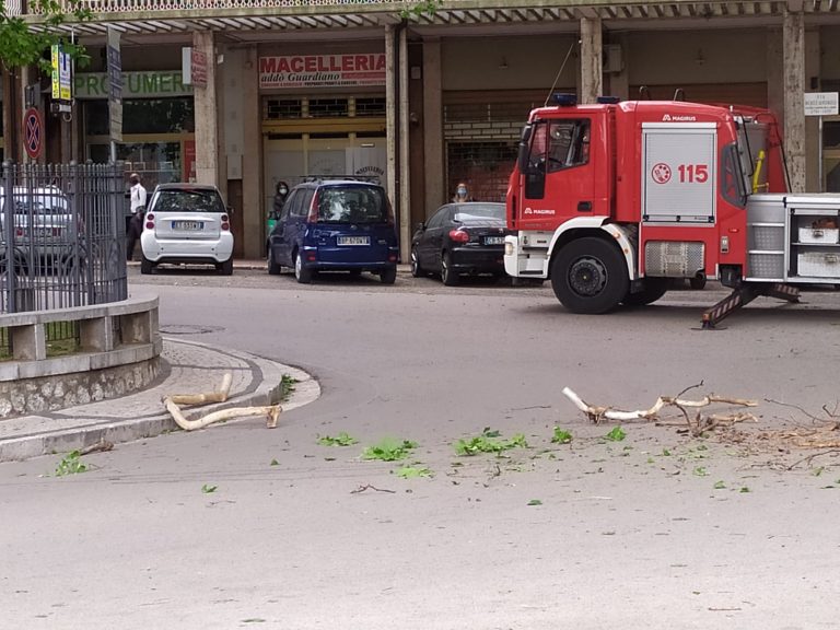 Vento e rami pericolanti: chiuso viale di Mercogliano
