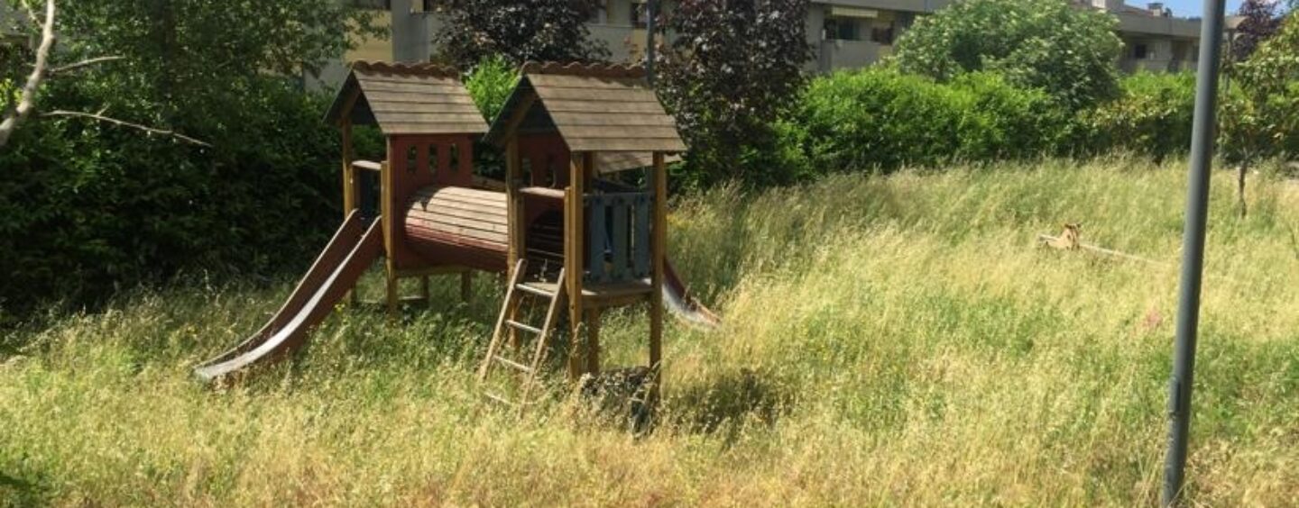 Verde urbano e inquinamento, agronomi e forestali all’attacco: “In città condizioni disastrose”