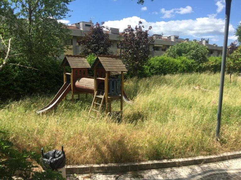 Verde urbano e inquinamento, agronomi e forestali all’attacco: “In città condizioni disastrose”