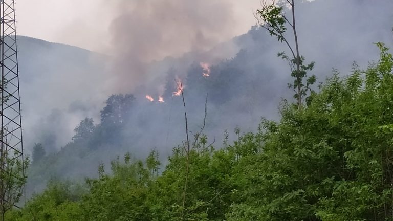 FOTO / Montoro, in fiamme 10 ettari di vegetazione: due canadair in azione