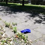 moscati 12