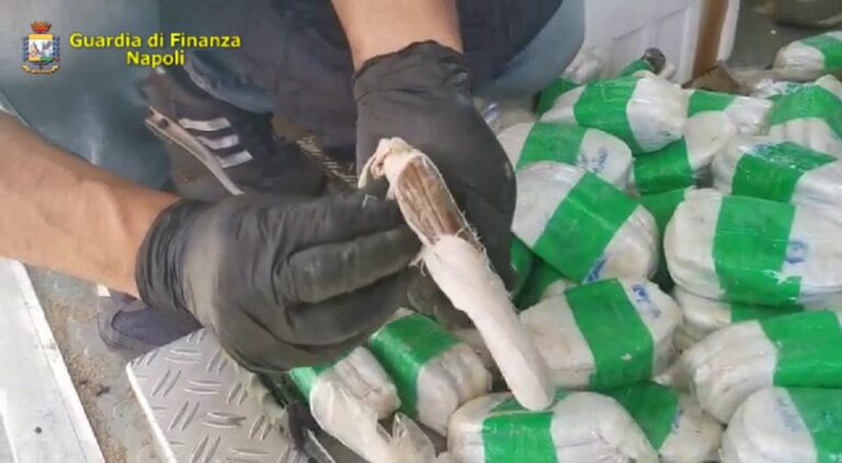 VIDEO/ Salerno, scoperto un maxi carico di droga al porto: 40 milioni il valore