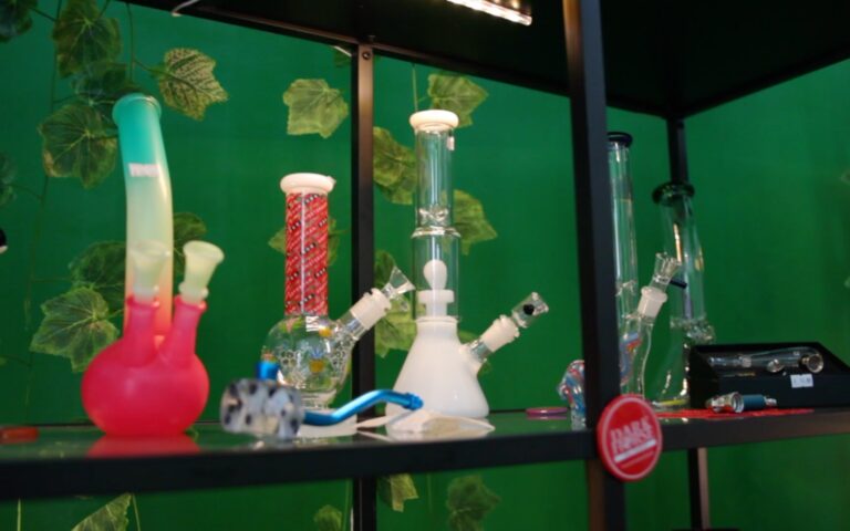VIDEO / Cento parlamentari: “Legalizzare la cannabis”. In Irpinia il sì dei medici