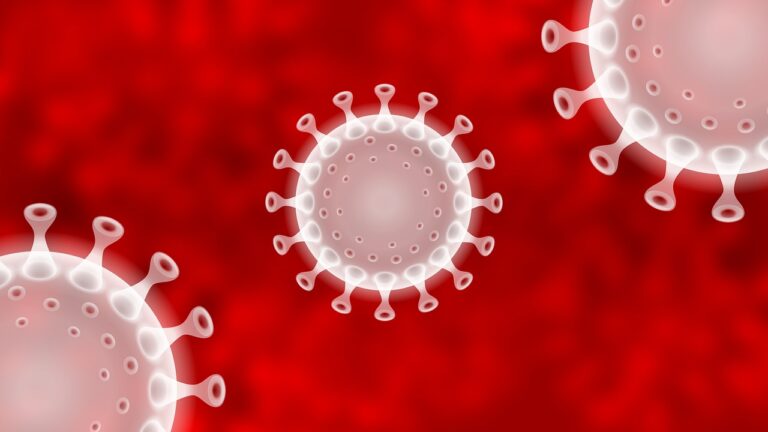 A Mondragone nessun nuovo caso positivo di coronavirus