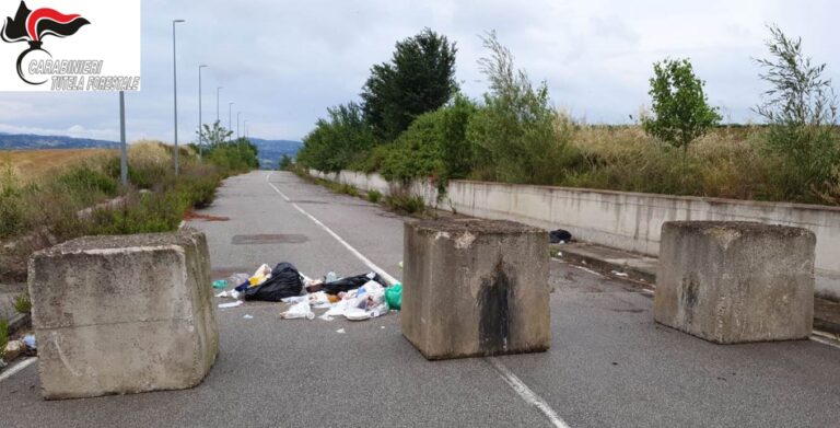 Abbandona rifiuti in strada, trasgressore individuato e multato dai Carabinieri