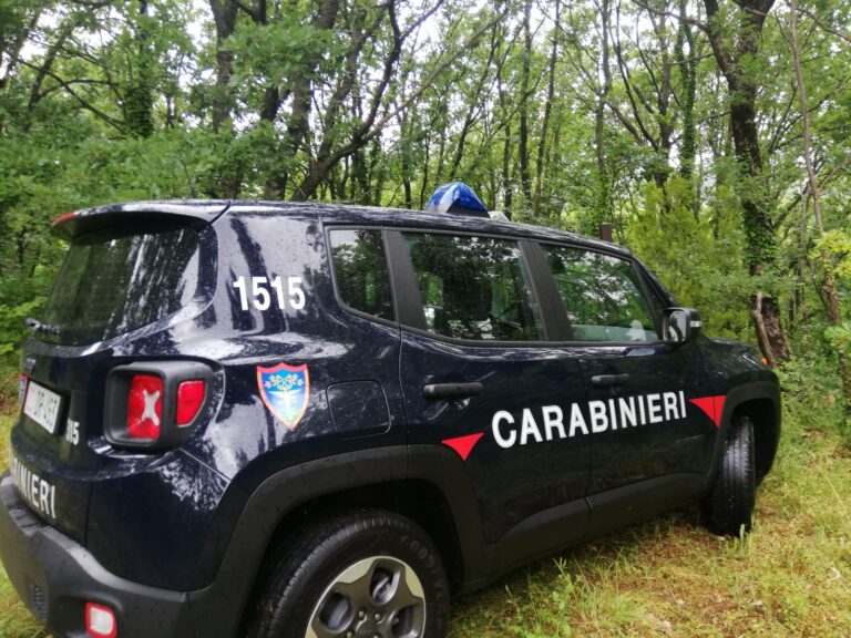 Serino, deposita legna da ardere in area protetta: scatta la denuncia