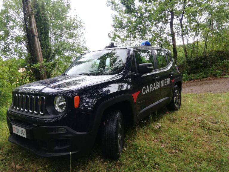 Puliscono i noccioleti e bruciano i residui: due denunce a Monteforte e Mugnano