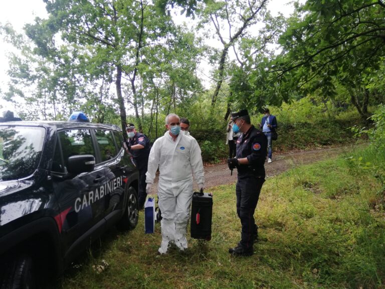 Pantera in Irpinia: pochi “suoni” ed elementi certi, nessuna battuta di caccia al momento