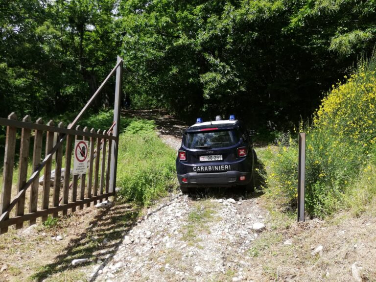 E’ la pantera del Partenio: il felino avvistato a Sant’Angelo a Scala