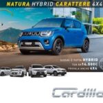 cardillo 1