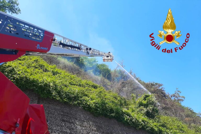 Video/Incendi boschivi, l’intervento dei Vigili del Fuoco