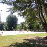 parco 16