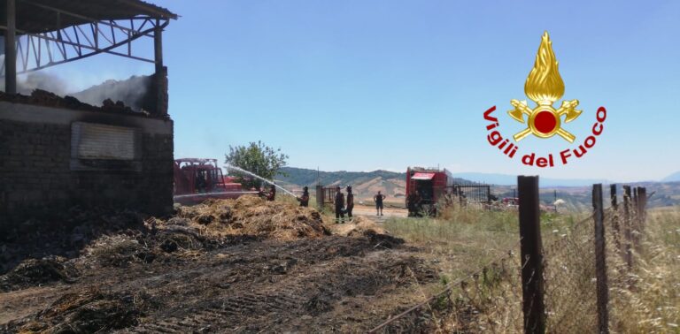 VIDEO / Incendio a Montecalvo Irpino: in supporto anche i gruppi operativi speciali