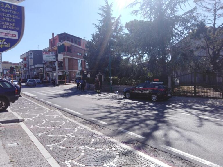 Ariano Irpino. Trasportava ulivo secolare col trattore e colpisce un lampione