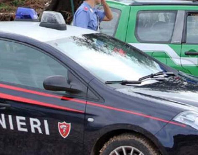 Nei guai 4 giovani 20enni di Mercogliano e Contrada: lanciano bengala e innescano incendio boschivo