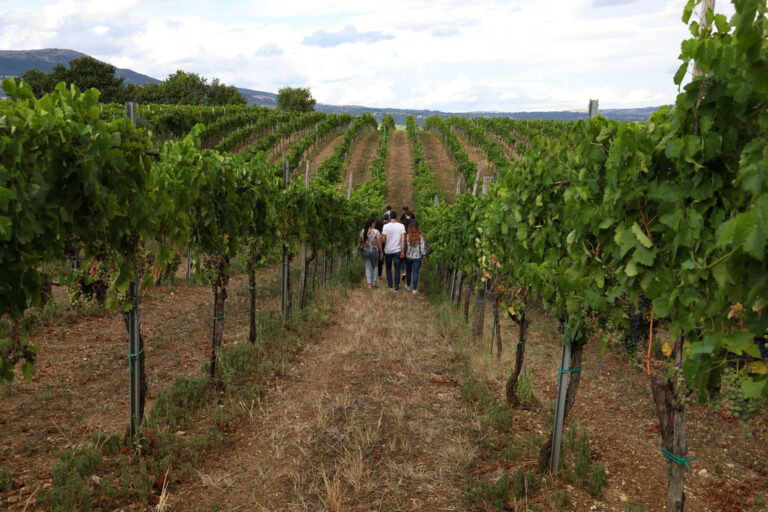 Guardia Sanframondi: lascia il segno la 27esima edizione di Vinalia