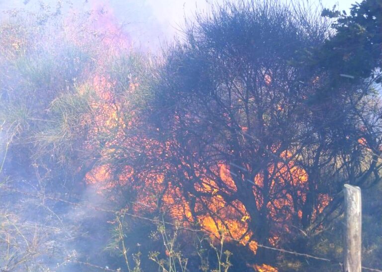 Video/Incendi in Irpinia, Genio Civile e mezzi aerei sui posti