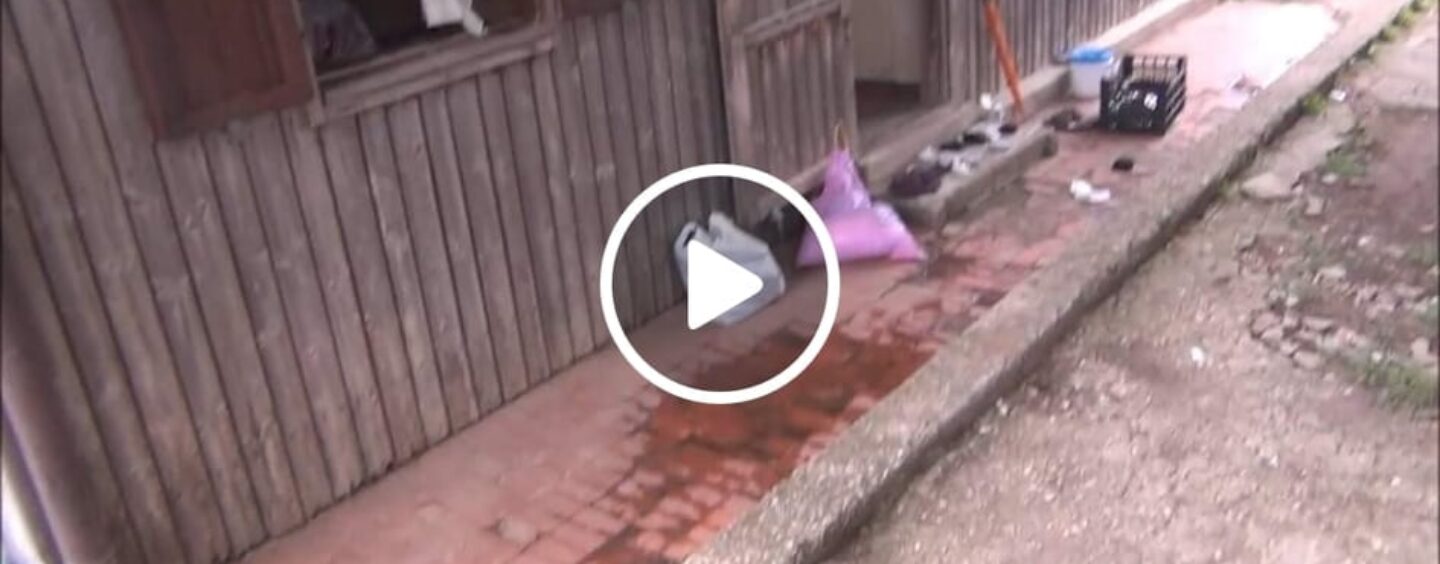 VIDEO/Montella: centinaia di persone vivono ancora nei prefabbricati del terremoto del 1980, tra amianto, immondizia e degrado