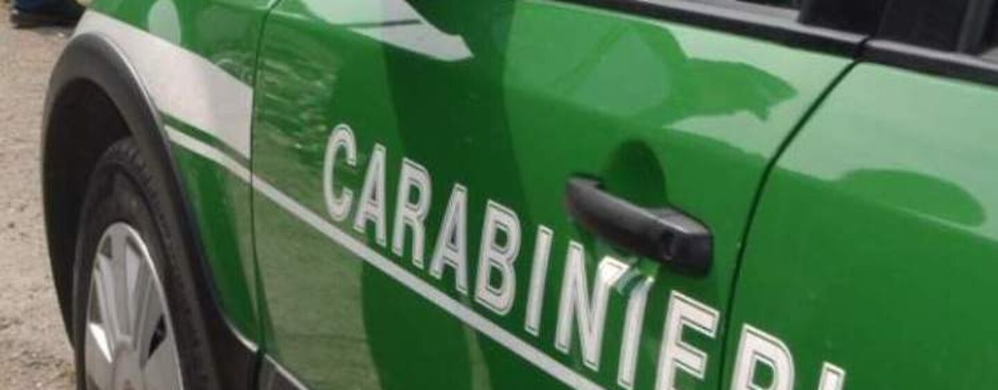 Mirabella Eclano. Discarica abusiva con lastre di eternit, indagano i carabinieri forestali