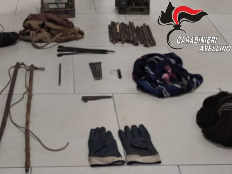 Ariano, catturava fauna selvatica protetta con una trappola a molla: denunciato