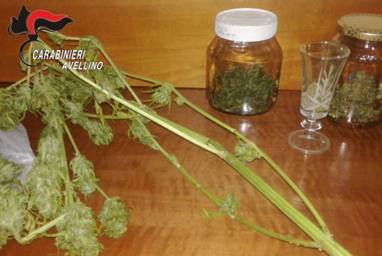 Ritrovato con mezzo etto di marijuana nascosto in cucina: 17enne del serinese in cella
