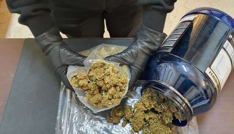 Avellino, titolare di canapa shop spaccia marijuana: denunciata