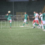 avellino turris