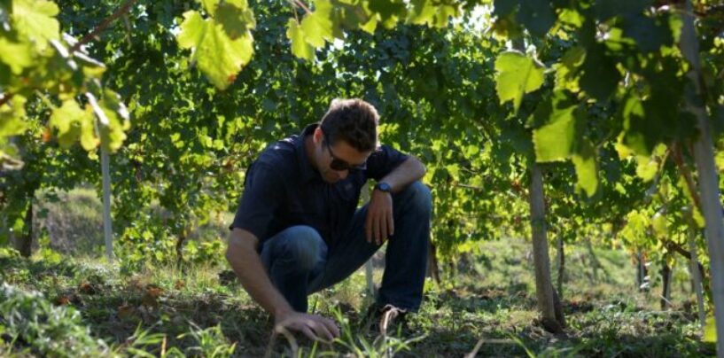 Agricoltura, sostenibilità e innovazione: ecco come avviarsi alla professione di tecnico agronomo