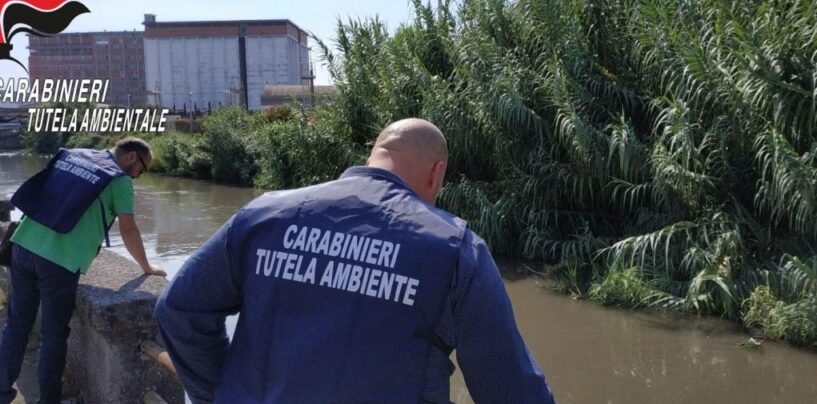 Fiume Sarno: 50 persone denunciate per stoccaggio abusivo di rifiuti speciali