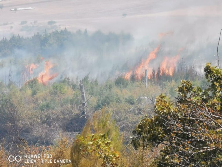 Ancora fiamme in Irpinia, vasto incendio a Scampitella
