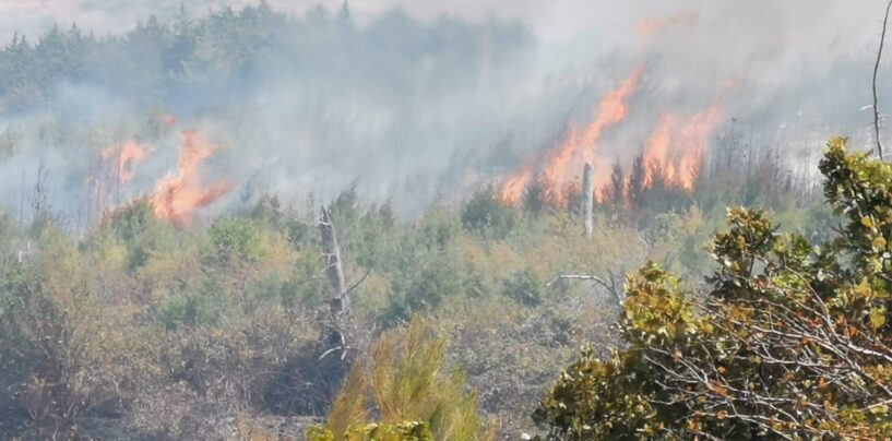 Ancora fiamme in Irpinia, vasto incendio a Scampitella