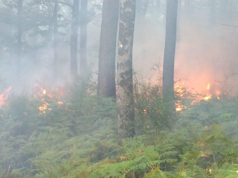 VIDEO/ Incendio a Serino: vegetazione in fiamme