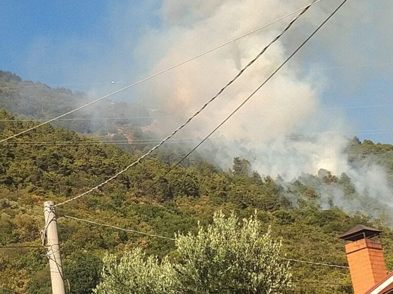 VIDEO / Notte di fuoco in Irpinia. Incendi ancora in atto tra Serino, Montoro e Forino: canadair in azione