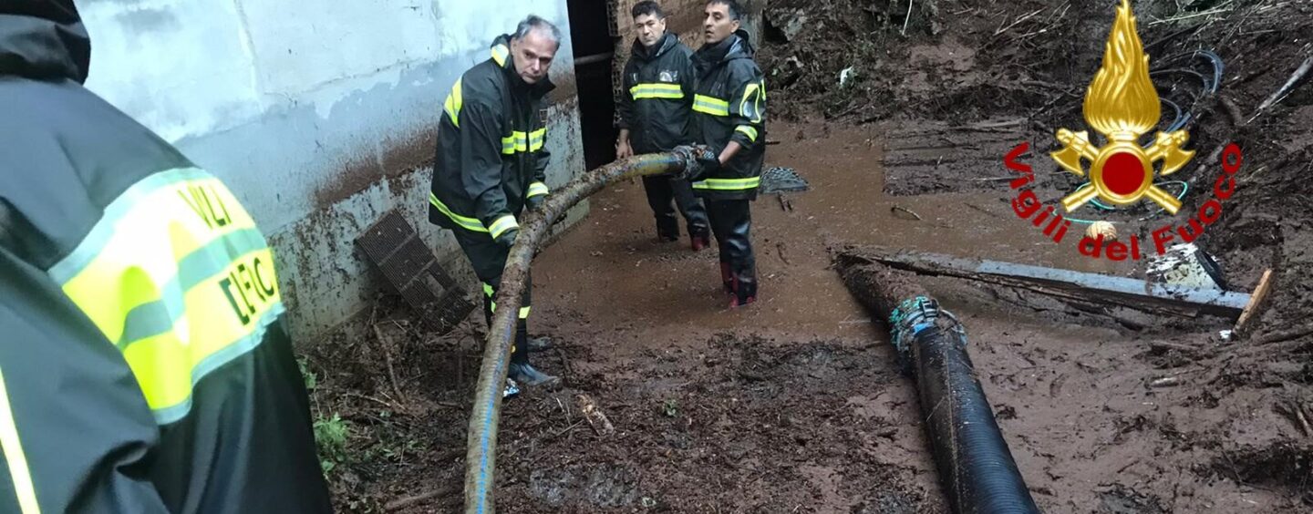 FOTO / Allagamenti, alberi e rami caduti. Maltempo, più di 60 interventi in Irpinia per i vigili del fuoco
