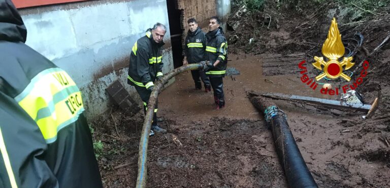 FOTO / Allagamenti, alberi e rami caduti. Maltempo, più di 60 interventi in Irpinia per i vigili del fuoco