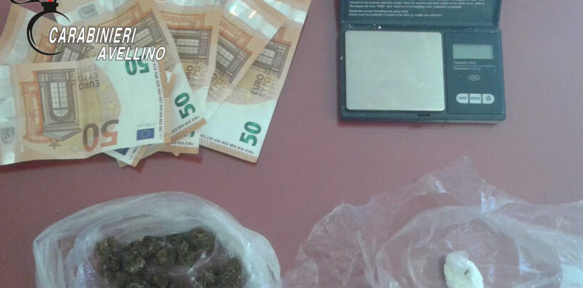 Il cane Holli fiuta la droga, arrestato 30enne di San Michele di Serino