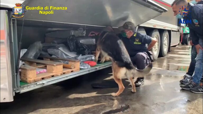 VIDEO/ Droga sul camion al porto di Napoli: due persone in manette