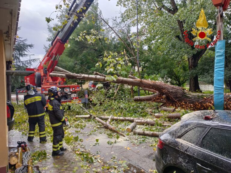 FOTO / Maltempo in Irpinia: più di 40 gli interventi dei vigili del Fuoco