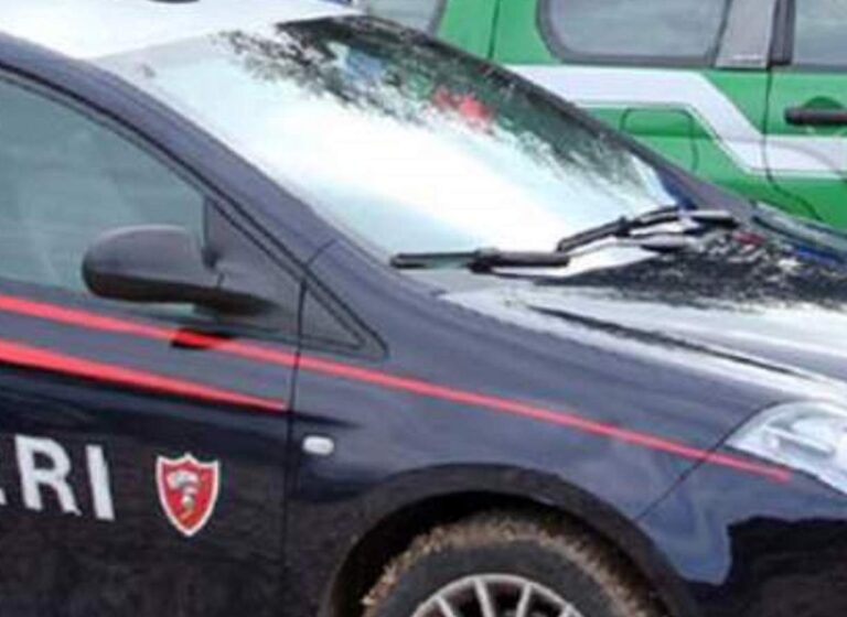 Mamma e figlio di 10 anni si perdono nei boschi dei monti del Partenio: salvati dai Carabinieri Forestali