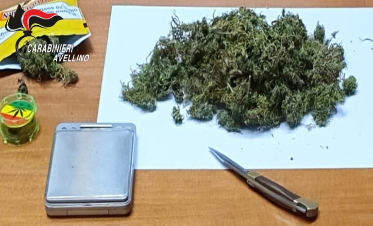 Volturara Irpina, coltivava marijuana: 48enne agli arresti domiciliari