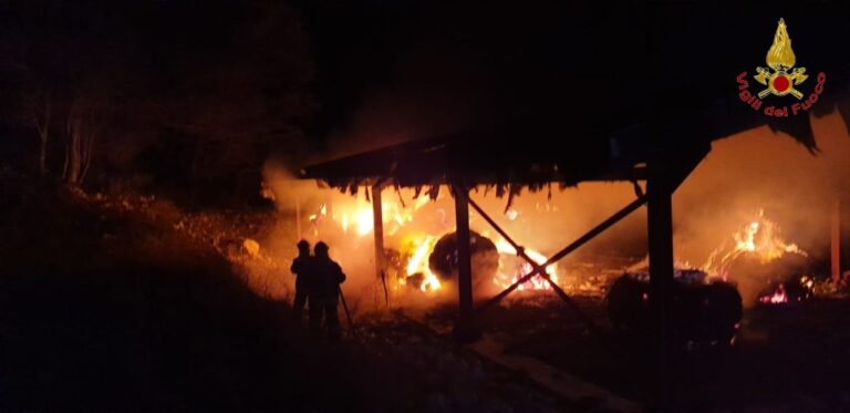 Video / Incendi a Lioni e Avellino: gli interventi dei Vigili del Fuoco
