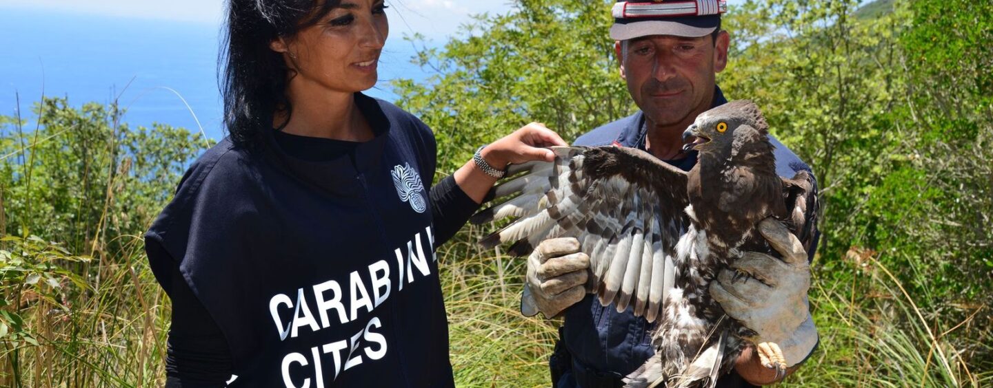 Carabinieri Forestale, l’impegno a protezione della flora e fauna a rischio di estinzione